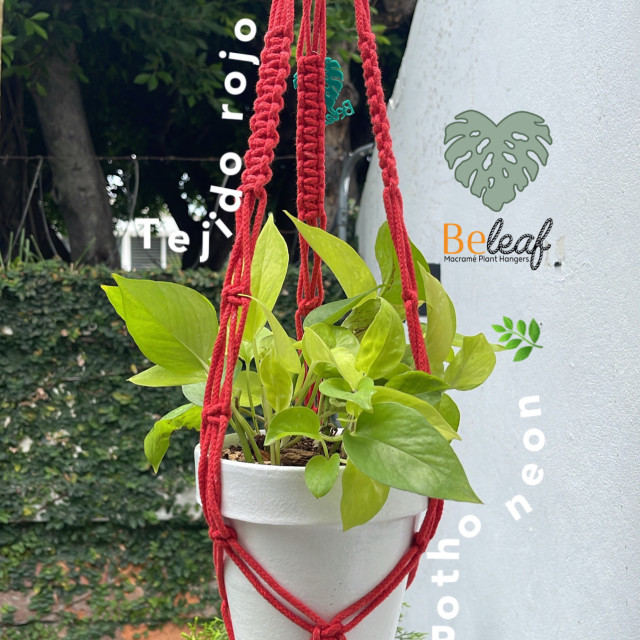 Porta maceta de macramé 