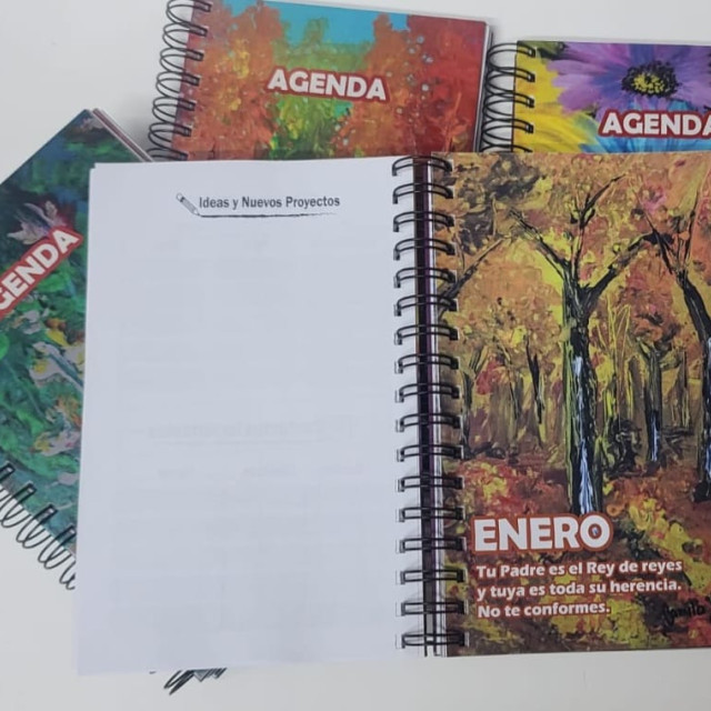 Agenda Gerbera