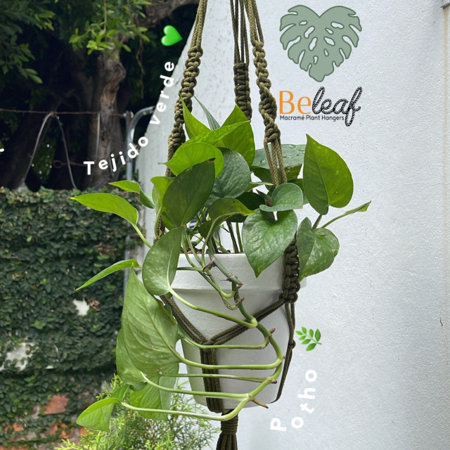 Porta maceta de macramé 